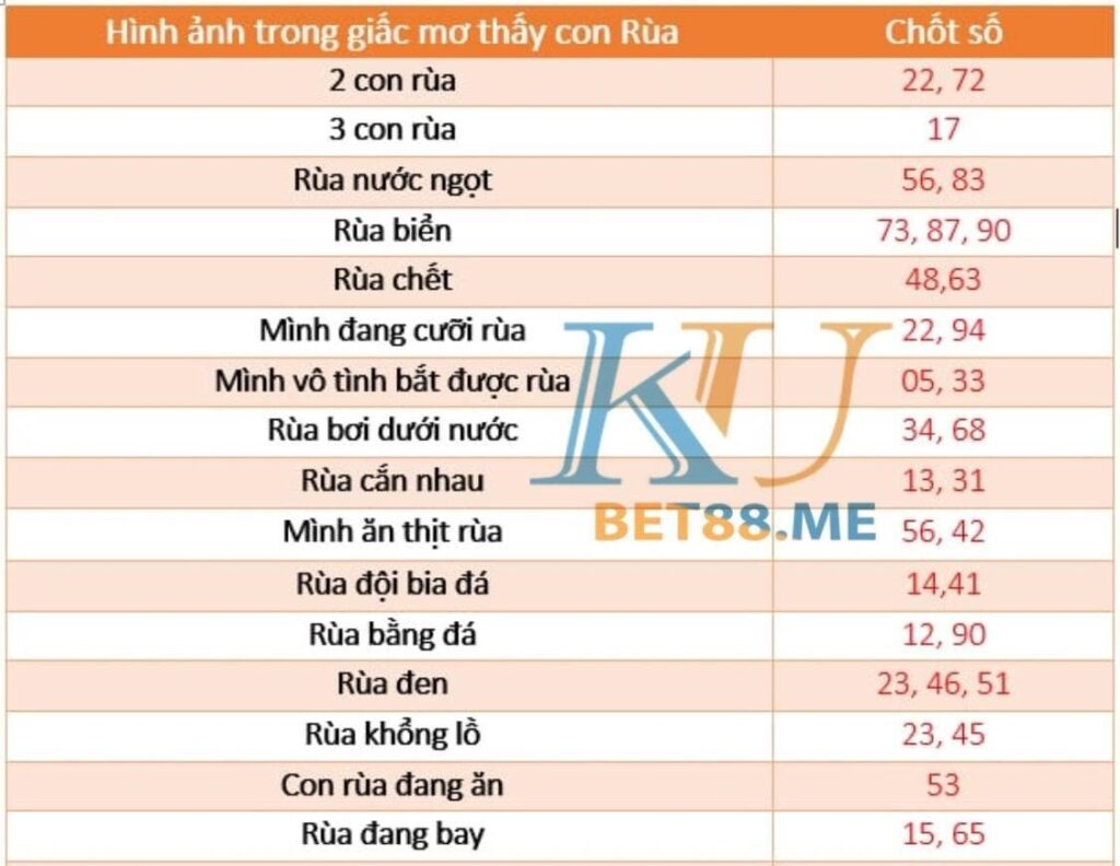 mơ thấy rùa ảnh 3