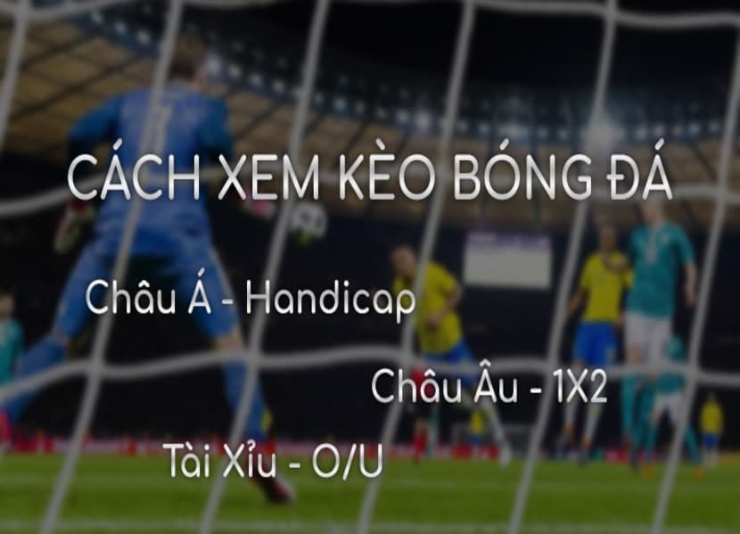 cach xem kèo chấp bóng đá