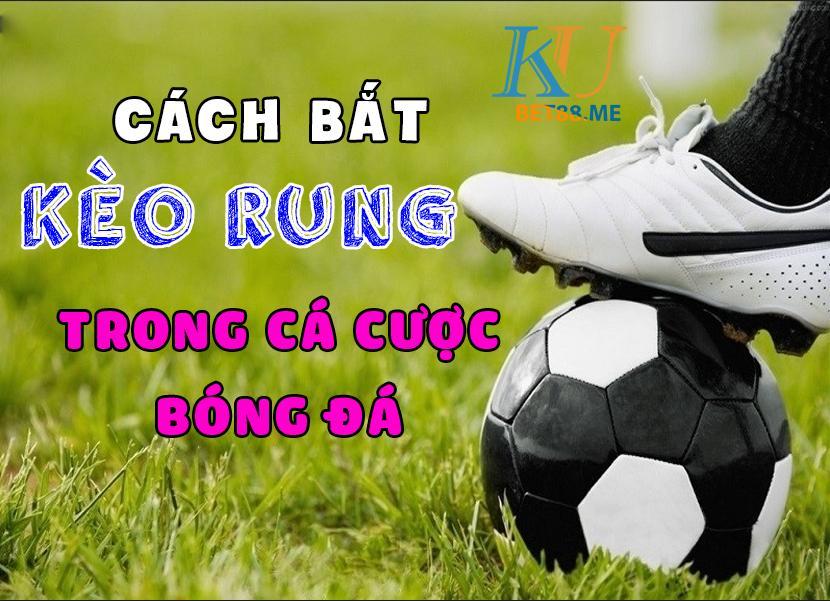 cách bắt kèo rung cực chuẩn trong cá cược bóng đá