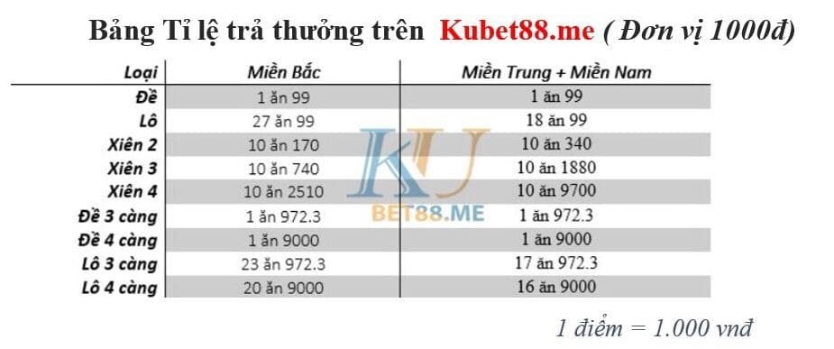 soi cau mien trung 17 02 2021 4