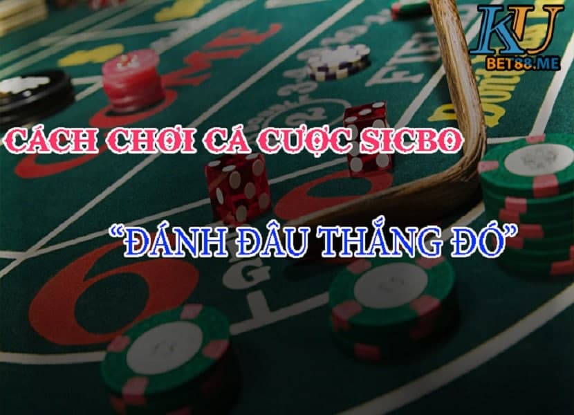 Hướng dẫn cách chơi cá cược sicbo tại Kubet88 “đánh đâu thắng đó”